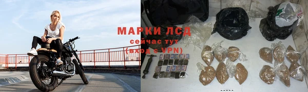 спиды Дмитровск