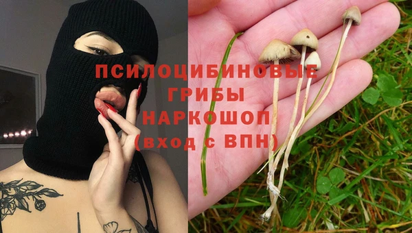 a pvp Дмитриев