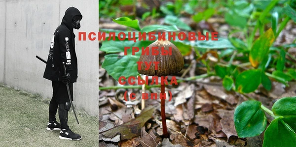 a pvp Дмитриев